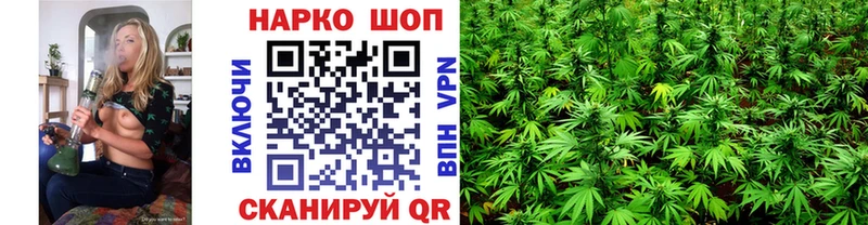 Что такое Сясьстрой блэк спрут ССЫЛКА  ГАШИШ  Марихуана  Кокаин  СОЛЬ 