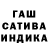 Канабис сатива Sharapov nik