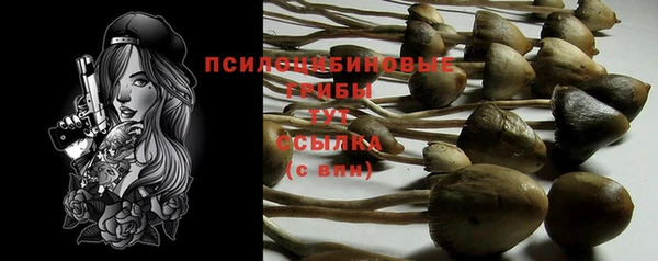 гашиш Михайлов