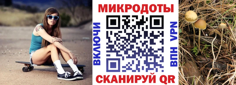гидра зеркало  даркнет сайт  Сясьстрой  Псилоцибиновые грибы Cubensis 